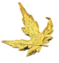 Autumn Fall Pin Brooch Maple Leaf Gold-Tone Realistic Design 1.5" - $19.99