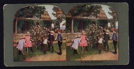 Vintage Stereo view card * No. 23 BUDS and BLOSSEMS visiting Uncle Ned K... - $8.86