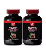 Mucuna focus powder - MUCUNA PRURIENS EXTRACT - Mucuna mood support 2Bot - $33.98