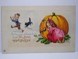 Halloween Postcard Children Black Cat White Dog Stecher 1290 C JOL Pumpkin - £31.62 GBP