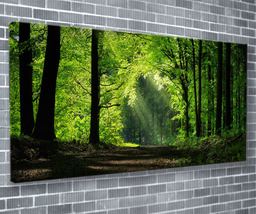 Tree Arch Canvas Print Beautiful Forest Wall Art 55x24Inch Ready To Hang - £70.85 GBP