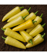 MX Hungarian Sweet Wax Pepper Seeds Mild Flavor Heirloom Non GMO Bulk Seed - $185.09 MXN