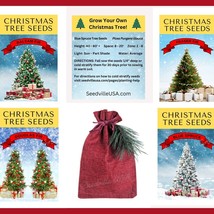 Grow Your Own Christmas Tree Collection 4 Gift Packets Of Tree Seeds Fraser Fir  - £26.67 GBP