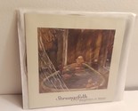 Strangefolk - Weightless In Water (CD, 1997, sans étiquette) Aucun étui - £11.25 GBP