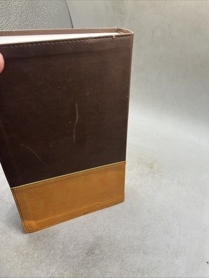NIV Church  Holy Bible, Large Print By Zondervan 2011, Leather Back Item image 15