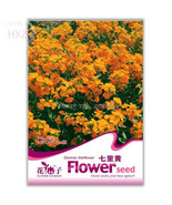 Yellow Siberian Wallflower Flower Seeds 50 Seeds Attractive Impressive A... - €12,10 EUR