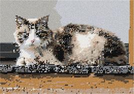 Pepita Needlepoint kit: Cat On Wood, 10&quot; x 7&quot; - £39.74 GBP+