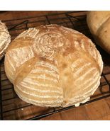 REAL San Francisco sourdough starter yeast over 150 years old S.F. - £6.30 GBP