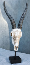 Vintage Tribal Knotwork African Antelope Skull On Museum Pole Mount Base Statue - £37.56 GBP