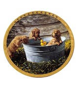 Vintage Hamilton Collection Golden Retriever Plate The Water&#39;s Fine Jon Ren - $333.75 MXN