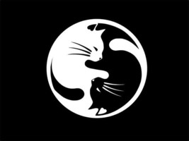 Yin Yang Cats Cat Lover Vinyl Decal Car Wall Laptop Sticker Choose Size Color - £2.18 GBP+