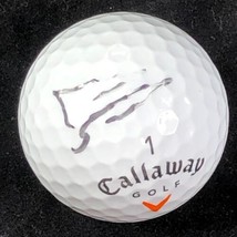Ernie Els Signed Golf Ball PSA/DNA Autographed - £106.18 GBP