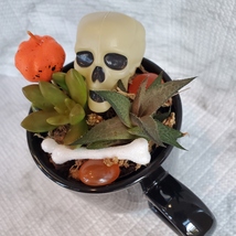 Halloween Planter with Live Succulents, Mug Garden, Skull Halloween fairy garden image 4