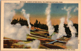 Norris Geyser Basin, Yellowstone National Park, Wyoming Vintage Postcard - £5.11 GBP