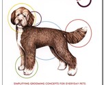 Theory of 5 Five Dog Grooming Book-Groomer Simplified Instruction How-to... - £30.66 GBP