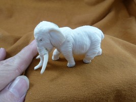 ele-w39) Elephant of shed ANTLER figurine Bali detailed carving love ele... - $136.03