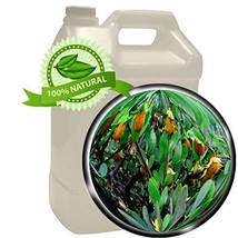 100% Pure &amp; Natural Golden Jojoba Oil (Unrefined) - 1 gallon (128oz) - £273.32 GBP