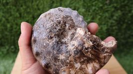 Item image 14