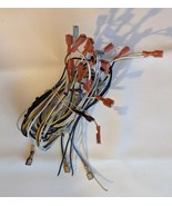 BUNN Modello TB6Q 120V PN 363551002 Parte Di Ricambio Cablaggio Doppio - $1,356.43 MXN