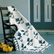 Best Loved Applique Pieced English Ivy Quilt Pattern Flexible Plastic Template - £7.80 GBP