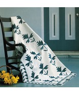 Best Loved Applique Pieced English Ivy Quilt Pattern Flexible Plastic Te... - £7.98 GBP