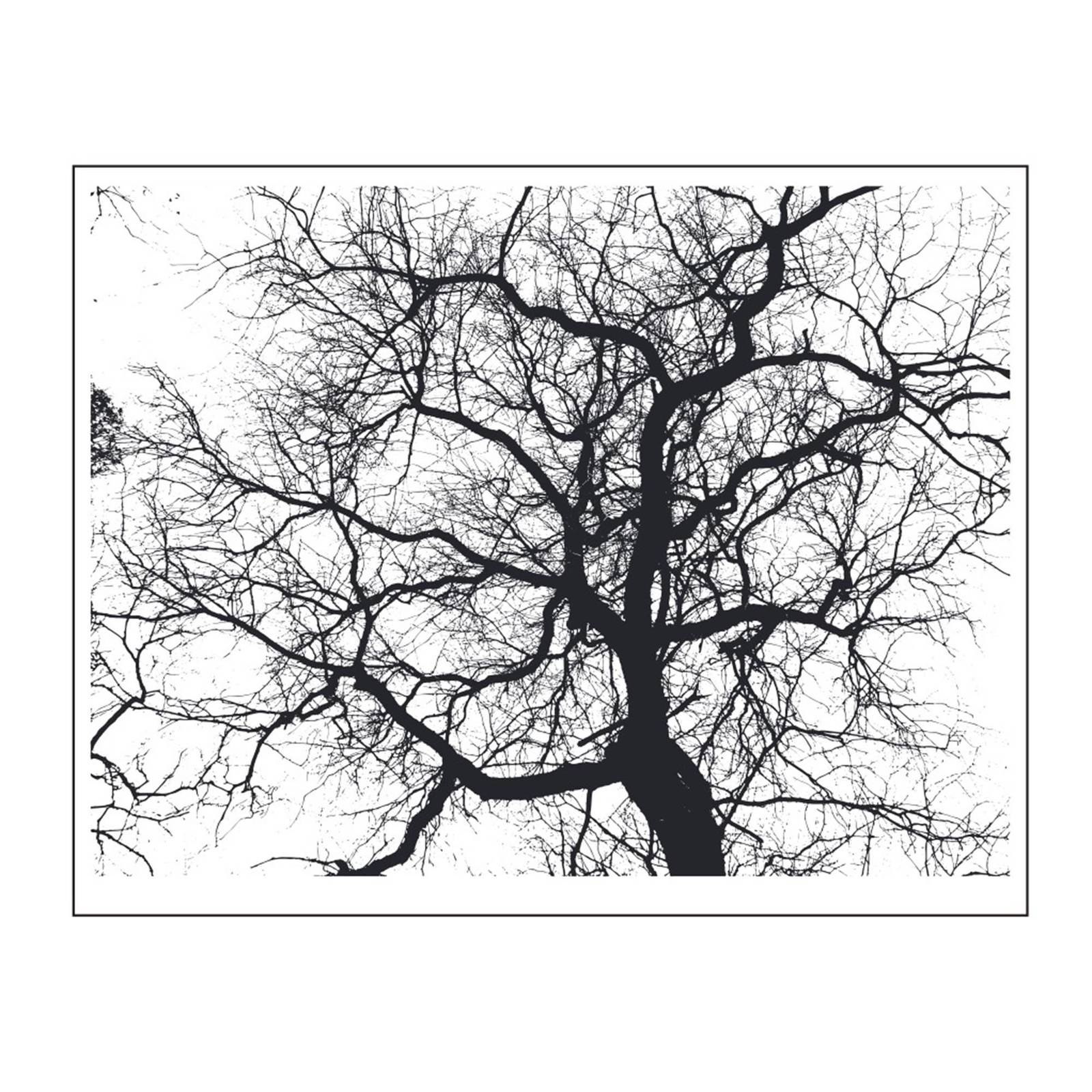 Look up tree branches background Transparent Clear stamps Rubber seals f... - $4.38