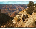 Mule Train Grand Canyon National Park AZ Chrome Postcard K17 - $2.92