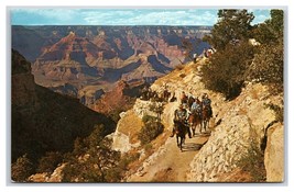 Mule Train Grand Canyon National Park AZ Chrome Postcard K17 - £2.28 GBP