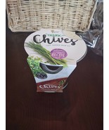 Organic Chives Chef Garden Grow Kit - £10.89 GBP
