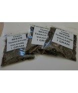 Bulk Tansy SEEDS and plants (Tanacetum vulgare) - $5.37 CAD+