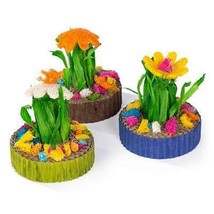 Prevue Pet Succulent MiniGarden 3 Pack 11041 new - $1,257.65 MXN