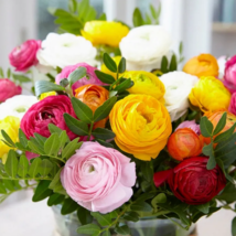 Ranunculus Mix corms, Buttercup, Persian rose, Summer flowers mixed vari... - £8.96 GBP