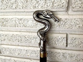 Cane E Rattlesnake Coiled and Ready To Strike Tongue Extended Seeking Prey - £32.58 GBP