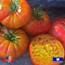 160 Tomato Seeds Big Rainbow Heirloom Vegetable Non Gmo Home Garden - £9.32 GBP