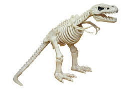 Crazy Bonez T-Rex Skeleton Toy - £138.68 GBP