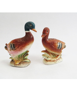 Vintage Mallard Duck Salt And Pepper Shakers Japan Bisque Ceramic  - $12.00