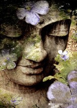 Inner Tranquility - Tree Free Greeting Card - 14119 - $25.61 MXN