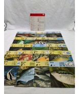 Lot Of (21) 1975 Rencontre Bony Fishes II Education Cards - $374.14 MXN