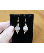 DP1-23m REAL DINOSAUR POOP 12mm bead dangle EARRINGS Utah ancient Dino C... - $18.99