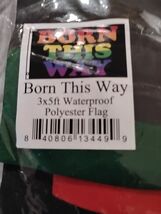 Born This Way Flag 3x5ft LGBTQIA LGBT Gay Pride Lady Gaga Rainbow Pride ... - $2.99