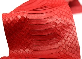 Asia Cobra Snake Skin Snakeskin Leather Hide Craft Supply Back Cut Red - $386.56 MXN+