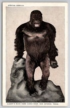 San Antonio Texas African Gorilla Albert&#39;s Buck Horn Curio Shop Adv Postcard H27 - £7.95 GBP