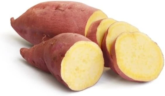 Yams Slips for Planting - Yellow Murasaki Sweet Potato Slips (10 slips) - $46.99
