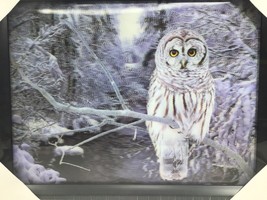 Snowy Owl in Woods 3D 3 Dimension Lenticular Picture With Plastic Frame - Sealed - £18.98 GBP