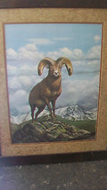 Rocky Mountain Big Horn Sheep Framed Print By Ray Harm, From 1976, Ltd. Edition - £398.75 GBP