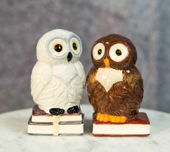 Snow White And Great Horned Brown Owls On Books Ceramic Salt Pepper Shakers Set - £11.77 GBP
