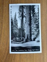 The Columbus Tree Rainier Park Postcard RPPC Tour Bus - $10.00