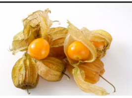 Organic GROUND CHERRY 200 Seeds - £7.50 GBP