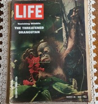 Life Magazine March 28 1969 Vanishing Wildlife ~ The Threatened Oranguta... - £17.54 GBP