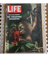 Life Magazine March 28 1969 Vanishing Wildlife ~ The Threatened Oranguta... - $22.44